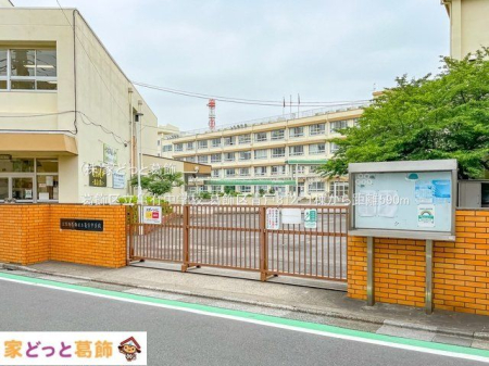 ���ӊ� �����旧�T�L���w�Z �B�e��(2022-06-16) 590m