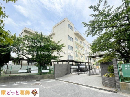 ���ӊ� �s��s���V�䏬�w�Z �B�e��(2024-06-06) 420m