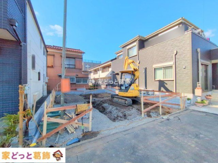 ���n�O�ώʐ^ �B�e��(2025-11-19 00:00:00)