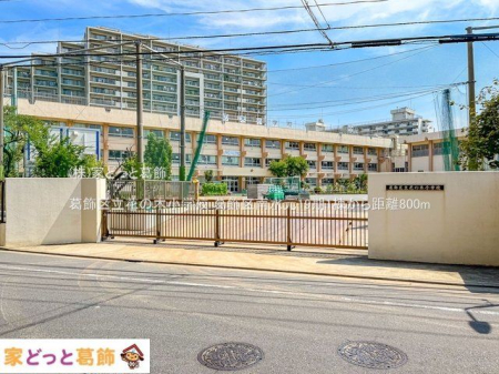 ���ӊ� �����旧�Ԃ̖؏��w�Z �B�e��(2022-08-03) 800m