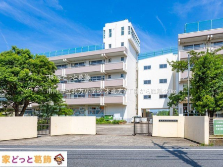 ���ӊ� �s��s���k�����w�Z �B�e��(2022-08-09) 420m