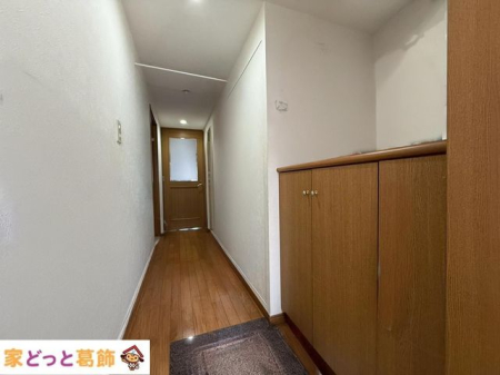 ���� ����