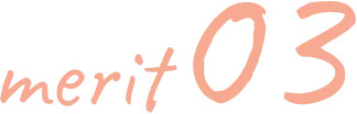 merit03