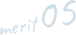 merit05